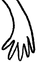 Decorative illustration